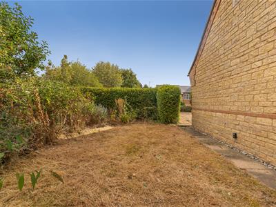 Picture 22